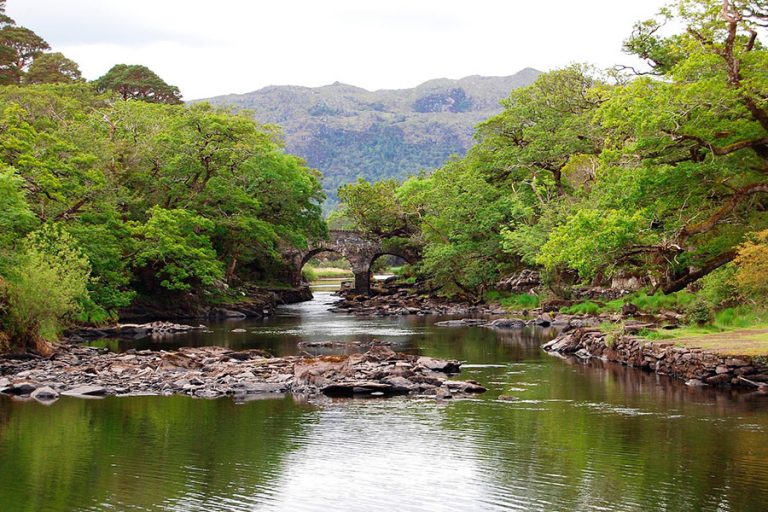 Killarney National Park, at the door of Sika Lodge